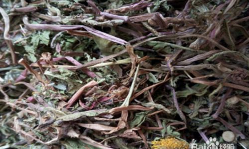 How to Dry Dandelion Roots for Herbal Use