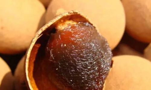 How to Dry Longan Flesh Perfectly