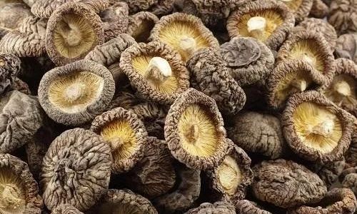 How to Successfully Dry Shiitake Mushrooms