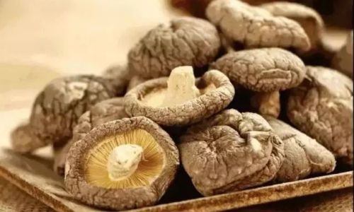 How to Successfully Dry Shiitake Mushrooms