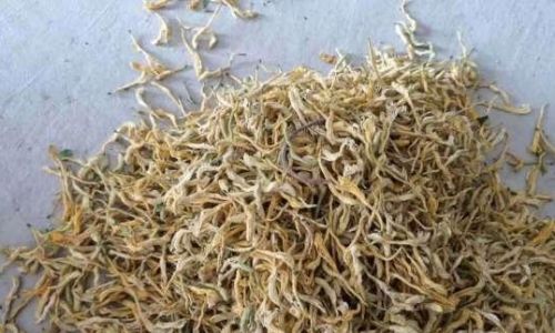 How to Effectively Dry Lonicera Japonica Honeysuckle)Flowers