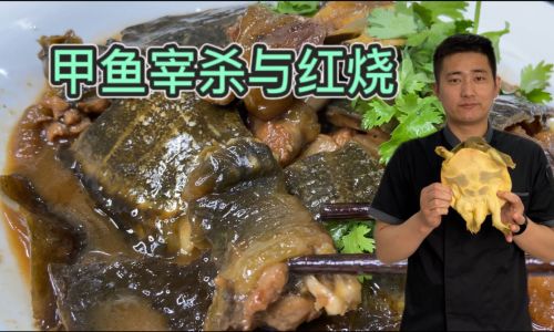 How to Humanely Harvest Soft-Shelled Turtles:A Comprehensive Guide