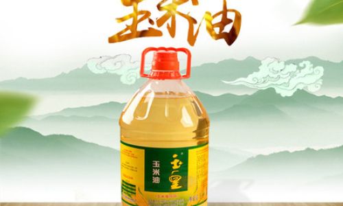 Distinguishing Corn Germ Oil from Corn Oil:A Comprehensive Guide