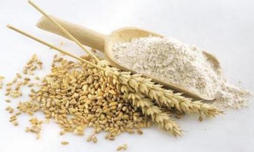Distinguishing Between Wheat Starch and Flour:A Comprehensive Guide