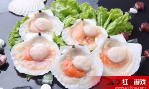 Distinguishing Oysters and Scallops:A Comprehensive Guide
