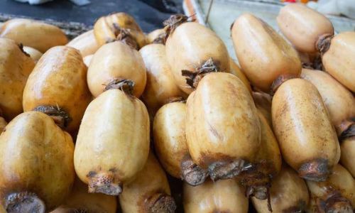 Distinguishing Between Sticky Lotus Root and Crispy Lotus Root:A Comprehensive Guide