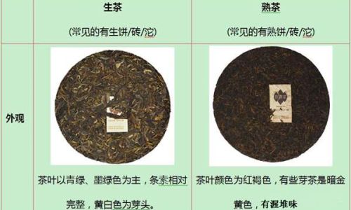 Distinguishing Pu-erh Raw Tea from Ripened Tea:A Comprehensive Guide
