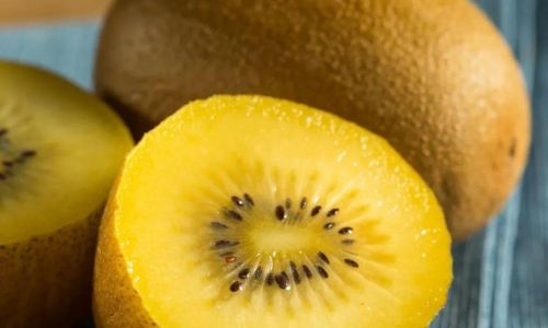 Distinguishing Between Yellow and Green Kiwifruits:A Comprehensive Guide