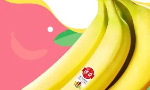 Distinguishing Red Bananas from Common Bananas:A Comprehensive Guide