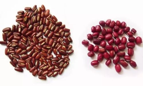 Distinguishing Red Beans from Adzuki Beans:A Comprehensive Guide
