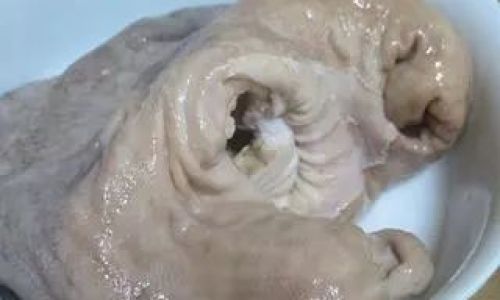 How to Clean a Pigs Stomach:A Comprehensive Guide