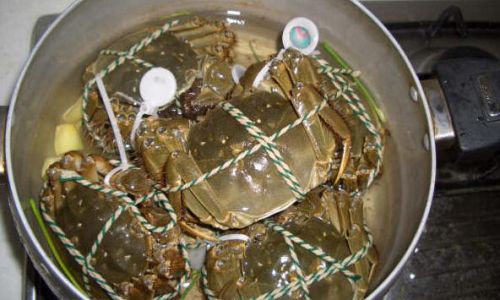 How to Clean Yangcheng Lake hairy Crabs:A Comprehensive Guide