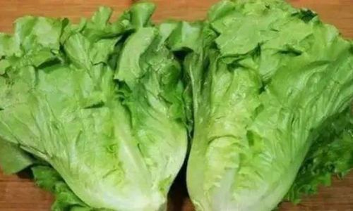 How to Clean a Lettuce Ball:A Comprehensive Guide
