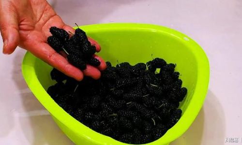 How to Clean Mulberries:A Simple and Effective Guide