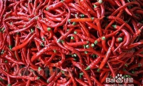 Mastering the Art of Slicing Bell Peppers and Handling Chili Peppers Without the Burn