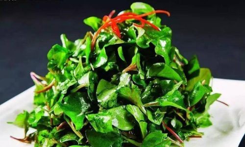 Mastering the Art of Cooking Wild Vegetables