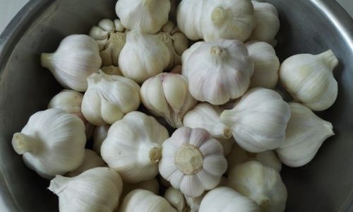 Mastering the Art of Making Delicious Pickled Sweet Garlic