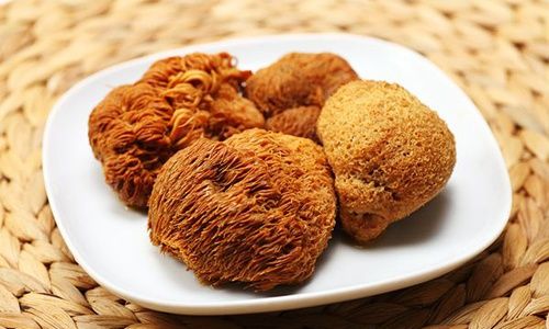 How to Properly Soak and Prepare Monkey Head Mushrooms