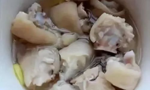 How to Determine if Pigs Trotters are Fully Cooked