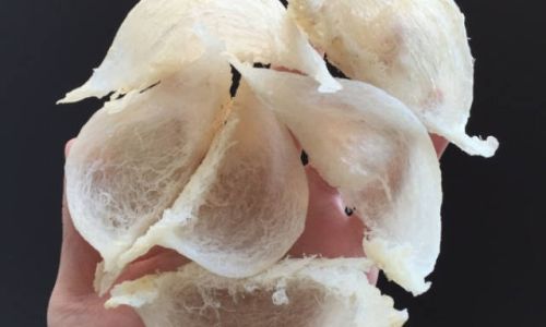 How to Determine if Birds Nest Has Gone Bad