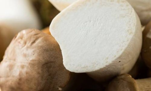How to Determine the Freshness of Pleurotus Eryngii Mushrooms