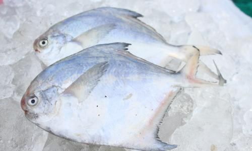 How to Determine Fresh Fish:A Comprehensive Guide