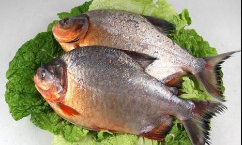 How to Determine Fresh Fish:A Comprehensive Guide