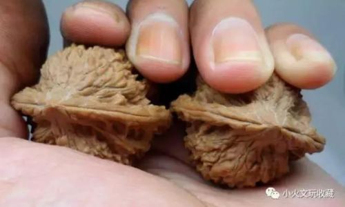 How to Determine Fresh Walnuts