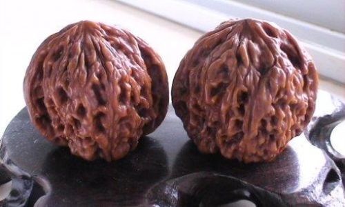How to Determine Fresh Walnuts