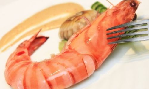 How to Determine the Freshness of a Mantis Shrimp