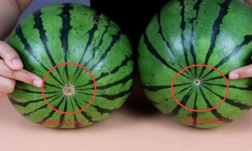How to Determine if a Watermelon is Ripe:A Comprehensive Guide