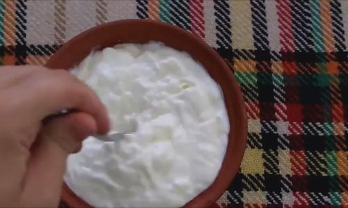 How to Determine if Yogurt Has Gone Bad