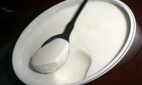 How to Determine if Yogurt Has Gone Bad