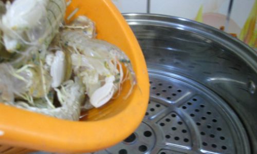 How to Determine if the Prawn Mantis Shrimp)is Fully Cooked