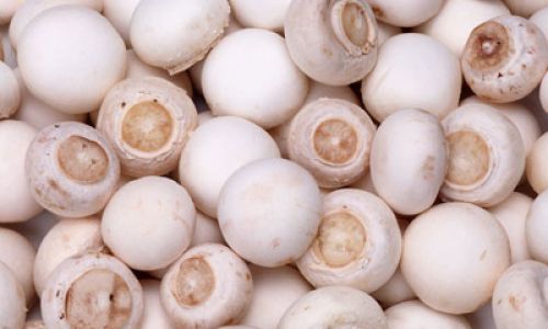 How to Determine if Mushrooms are Fresh