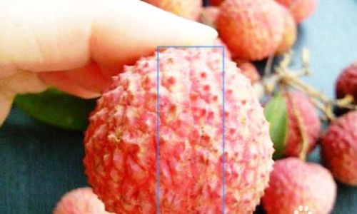 How to Determine the Freshness of Lychees