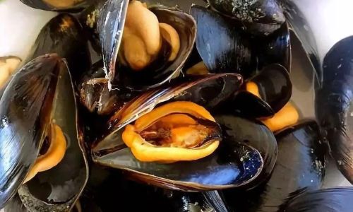 How to Determine the Freshness of Sea Mussels