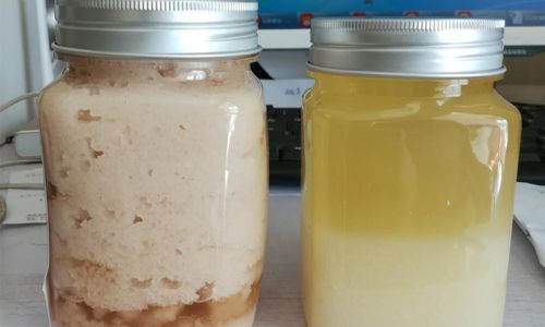 How to Determine if Honey Has Gone Bad