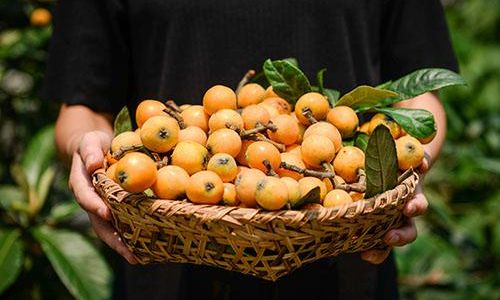 How to Determine the Ripeness of a Sugar Apple Annona Squamosa)