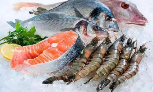 How to Determine the Freshness of Frozen Turbot Fish