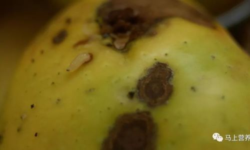 How to Determine if Chen Hei Dou Aged Black Beans)Have Gone Bad