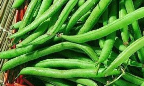 How to Determine if Broad Beans Are Cooked Perfectly