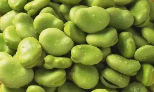 How to Determine if Broad Beans Are Cooked Perfectly