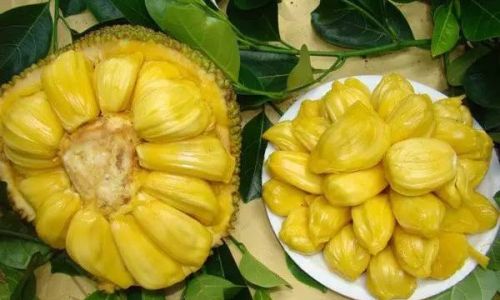 How to Determine the Ripeness of Jackfruit