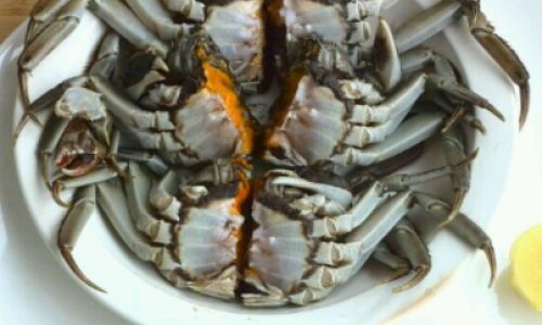 How to Assess the Edibility of Frozen Crabs