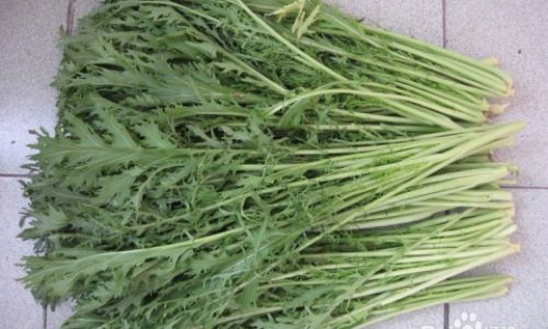How to Sun-Dry Potherb Mustard Brassica juncea var.foliosa)Efficiently