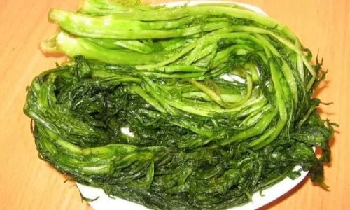How to Sun-Dry Potherb Mustard Brassica juncea var.foliosa)Efficiently