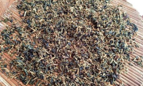 How to Sun-Dry Potherb Mustard Brassica juncea var.foliosa)Efficiently