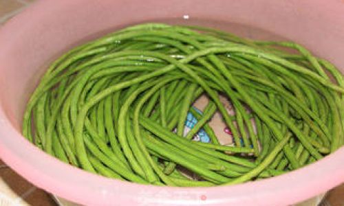How to Sun-Dry Potherb Mustard Brassica juncea var.foliosa)Efficiently