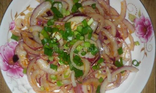 How to Make a Refreshing Onion Salad:A Step-by-Step Guide